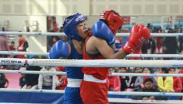 MC Mary Kom vs Nikhat Zareen Indian boxing trial bout