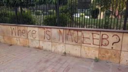 Why Anti-CAA Protesters 