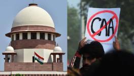 Kerala govt petition against CAA in Supreme Court