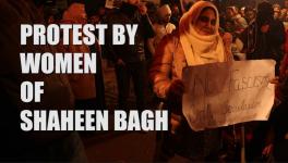 Shaheen Bagh