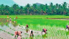 Tamil Nadu: Farmers Wait for Days