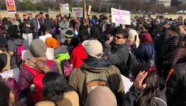 Indian Diaspora Rally in US, UK on R-Day to Protest CAA, Protect Constitution