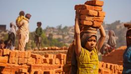 Plunging Economy Fuels Apparent Child Labour Epidemic