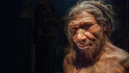 Neanderthal DNA in Africans Suggest Back