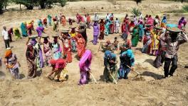 ‘MGNREGA Allocation Slashed by Rs 9,000 Crore Amid Alarming Rural Distress’