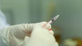Animal Tests of Vaccine Against COVID-19 Have Started in China