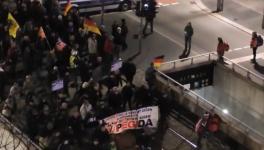 Antifa Dresden All Newsclick