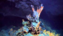 Life Originated at Hydrothermal Vents