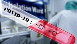 COVID 19 Deaths in India