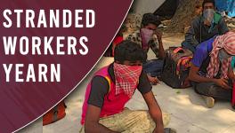 Migrant Workers in Chennai