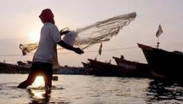 COVID-19: Bearing the Brunt of Lockdown, Small Fishermen Demand Economic Package