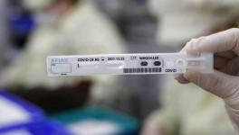 Stop Using Rapid Test Kits from 2 Chinese Firms, ICMR Advisory to States