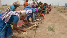 MGNREGA scheme and COVID-19 crisis