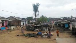 Can Reverse Migration Help Revive Rural Economy of Odisha?