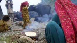 Uttarakhand Disregards Stranded Van Gujjars amidst COVID-19 lockdown