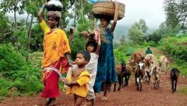 COVID-19 and Lockdown Threatening Livelihoods of Tribal Communities and Other Forest Dwellers: Report