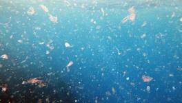 Plastics on Sea Surface Settle Deep in Sea Floor