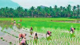 Farmers Not Prepared for Telangana’s New