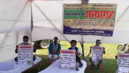 Bihar: Maize Growers Launch Satyagraha, Demand MSP for Crop
