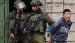 Israeli Forces Arrest Several Palestinians in Occupied Territories
