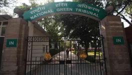 A Week Before NGT Order Flagged Concern