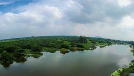Vedanthangal Bird Sanctuary in Tamil Nadu Could  Lose 40% Area if Declassification Proposal Approved, Local Community Opposes Move  