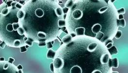 Scientists Call for Retraction of Study Claiming Coronavirus Spread is Mainly Airborne