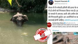 False Claim Viral About Arrest of Amzath Ali and Thamim Shaikh in Kerala Elephant Death Case