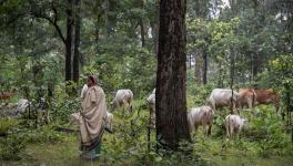 Indigenous people of Hasdeo Forest. | Photo: Brian Cassady