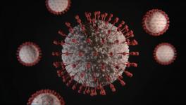 COVID-19 virus mutation