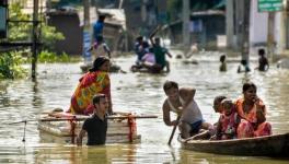 Bihar Floods: Thousands Flee Homes, Shift to High Rise Embankments, NHs After Villages Inundated