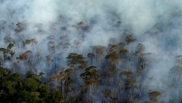 Number of Fires More than Doubles in Brazil's Pantanal, World’s Biggest Wetlands