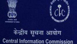 CIC directs Health Ministry to upload information on government response to COVID-19 on website 