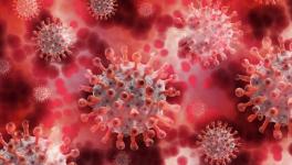Over 200 Scientists Tell WHO Coronavirus is Airborne: NYT Report