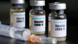 Oxford Vaccine Shows Protection Against COVID-19 in Monkeys: Study