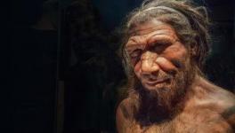 Genetic Ancestry of Pain Sensitivity Traced Back to Neanderthals