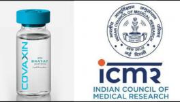 Is ICMR Under Political Pressure to Rush