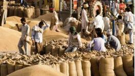 Madhya pradesh doubled wheat procurement despite lockdown decoded