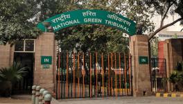 NGT Seeks Ban on Mining Minor Minerals After Killing of Forest Guard in Sariska