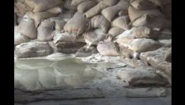 Rotten foodgrain bags in FCI warehouse, Kesariya.