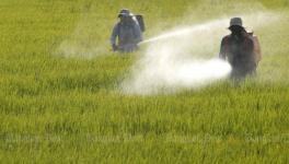 Fertilisers and Pesticides Replace Fossil Fuels as Largest Source of Sulfur in Environment by Human Activity