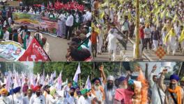 all india farmers protest