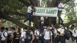 Behind Save Aarey’s Success