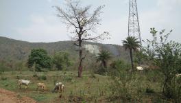 Scarred dump visible from distance