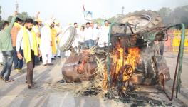 Tractor Blaze Youth congress
