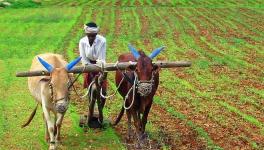Maharashtra to Have Statewide Agitation Against Farm and Labour Bills