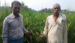Bihar farmers