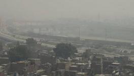 Air Pollution May Account for 15% of COVID-19 Deaths Worldwide, Says New Study
