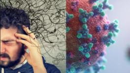 COVID-19: Recent Findings Show One-Third COVID-19 Patients Have Problems with Brain Function