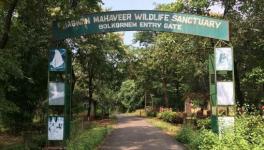 Bhagwan Mahaveer Wildlife Sanctuary